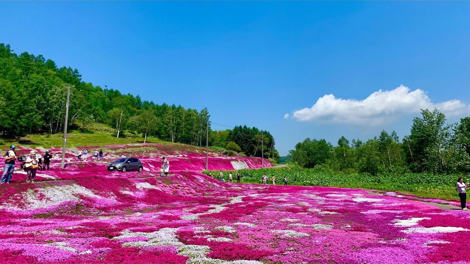 Skye Niseko - Vacation Stay 30089V Japonia